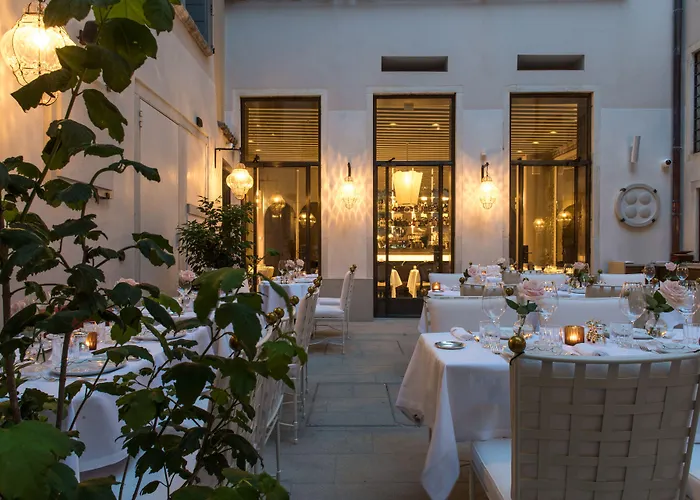 Nolinski - Evok Collection